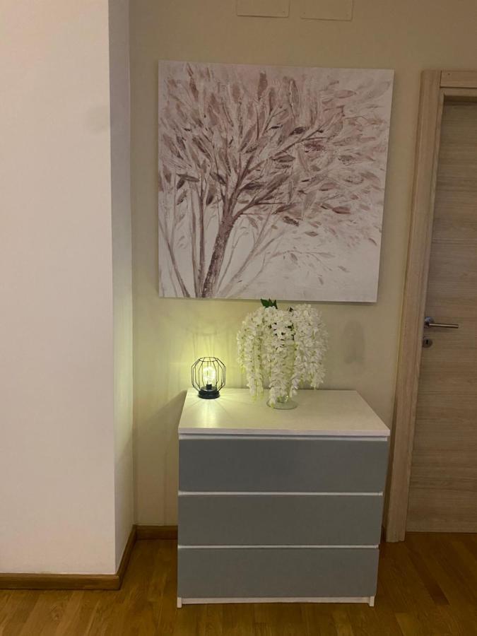 Luxury Center Appartment 노비리구레 외부 사진